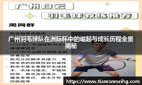 必一运动b-sports官网